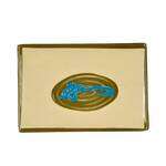 Thunder Group 1505J 8.25 x 5.63 Inch Asian Wei Melamine Rectangular Large BBQ Plate, DZ