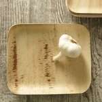 VerTerra 01-22-22B 7x8.5-inch Eco-Friendly Rectangular Palm Leaf Plate, 300/CS