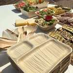 VerTerra 02-25-03C-X 9-inch Eco-Friendly Square 3-Compartment Palm Leaf Plate, 25/PK