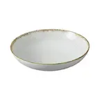 Yanco IB-309, 9.25x2.25-Inch 45 Oz Iris Blue Bowl, 12/Pack