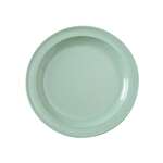Yanco NS-106G 6.5-Inch Nessico Melamine Round Green Plate, 48/CS