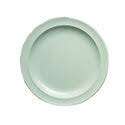 Yanco NS-215G 15x10.5-Inch Nessico Melamine Rectangular Green Platter, DZ (Discontinued)